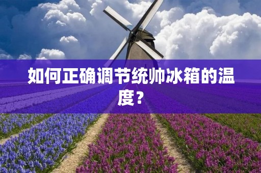 如何正确调节统帅冰箱的温度？