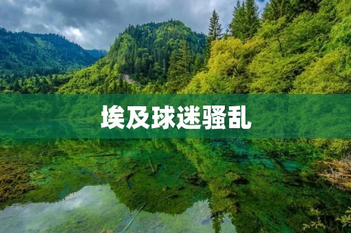 埃及球迷骚乱:足球场暴力再次引发社会问题 埃及球迷骚乱:足球场暴力再次引发社会问题
