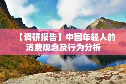【调研报告】中国年轻人的消费观念及行为分析