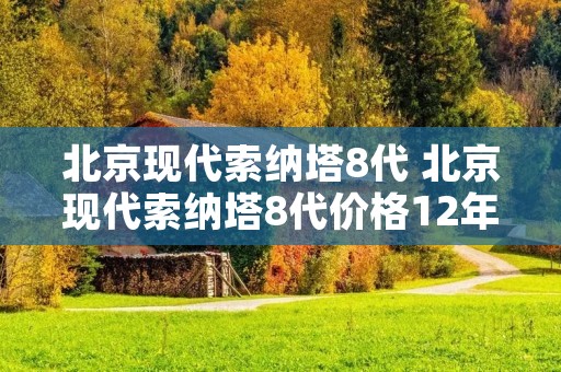 北京现代索纳塔8代 北京现代索纳塔8代价格12年