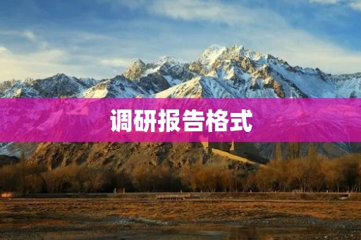 调研报告格式