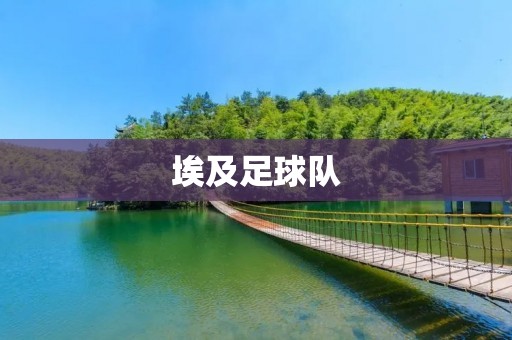 埃及足球队：独具魅力的非洲强队