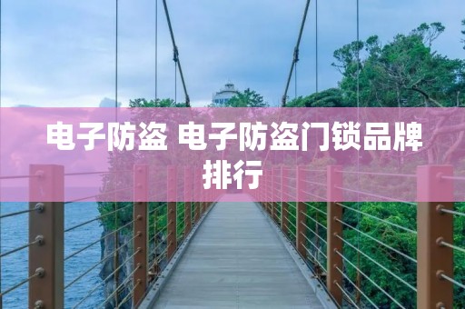 电子防盗 电子防盗门锁品牌排行 电子防盗 电子防盗门锁品牌排行