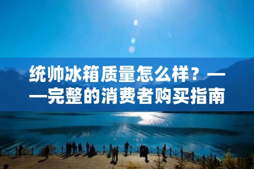 统帅冰箱质量怎么样？——完整的消费者购买指南