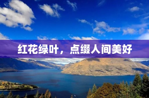 红花绿叶,点缀人间美好 红花绿叶,点缀人间美好