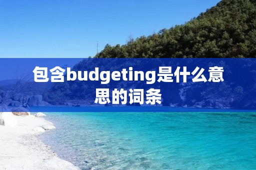 包含budgeting是什么意思的词条 包含budgeting是什么意思的词条
