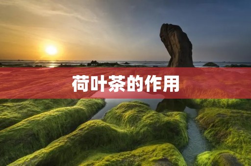荷叶茶的作用:解暑降火、清热利尿、减肥消脂、抗氧化 荷叶茶的作用:解暑降火、清热利尿、减肥消脂、抗氧化