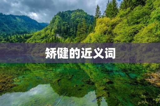 矫健的近义词：健壮、强健、有力、健硕、健康、精壮、壮实、强壮、结实、健美。