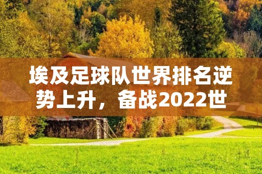 埃及足球队世界排名逆势上升，备战2022世界杯