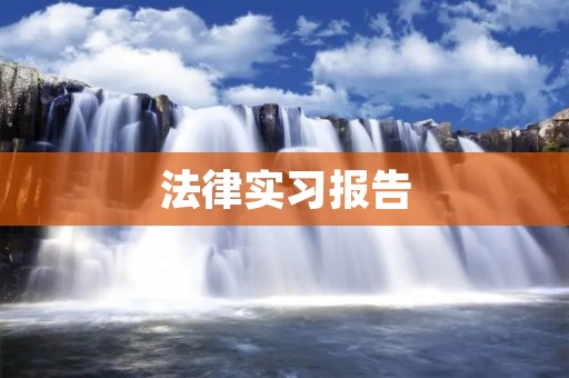 法律实习报告:从实践中感悟法律的力量