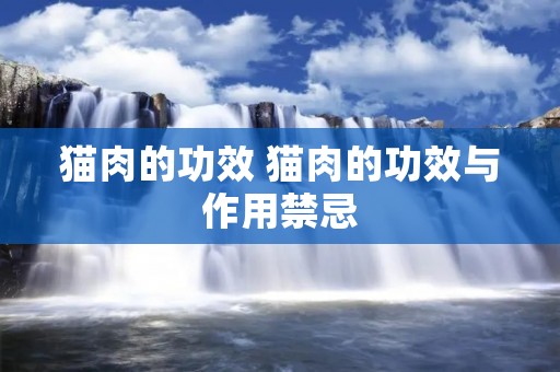 猫肉的功效 猫肉的功效与作用禁忌