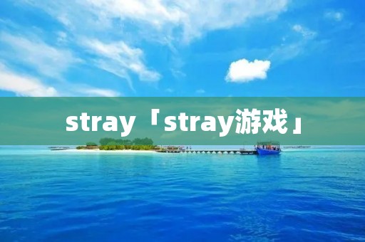 stray「stray游戏」