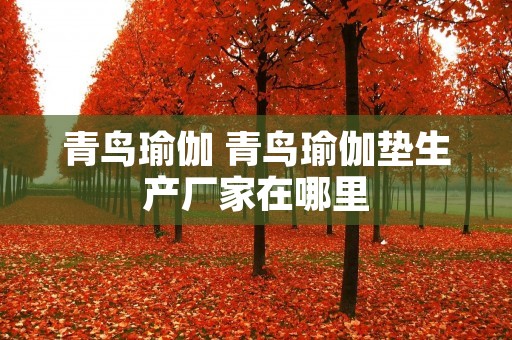 青鸟瑜伽 青鸟瑜伽垫生产厂家在哪里