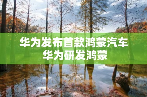 华为发布首款鸿蒙汽车 华为研发鸿蒙