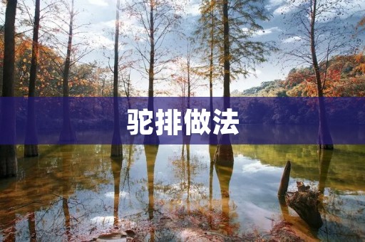 驼排做法:让你的厨房更加美味 驼排做法:让你的厨房更加美味