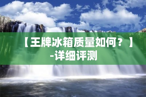 【王牌冰箱质量如何？】-详细评测