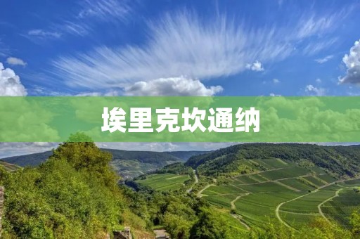 埃里克坎通纳：音乐之神的传奇生涯