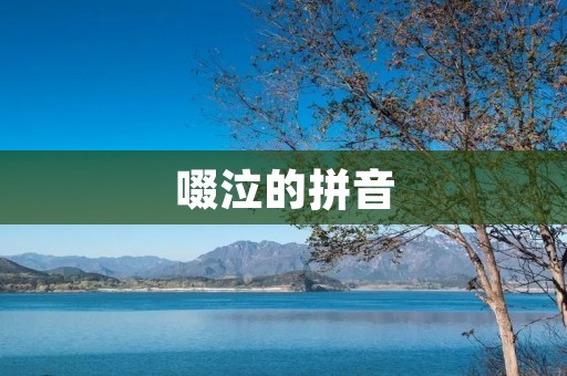 啜泣的拼音：探寻背后的情感故事