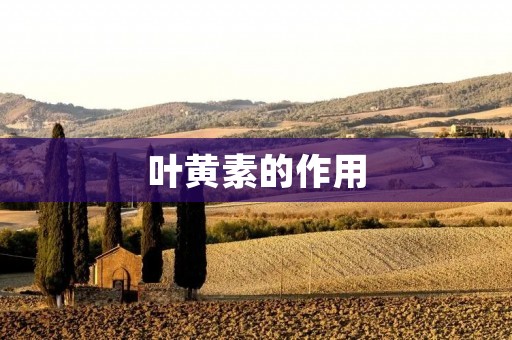 叶黄素的作用:从眼睛到心脏,全方位的健康保障 叶黄素的作用:从眼睛到心脏,全方位的健康保障