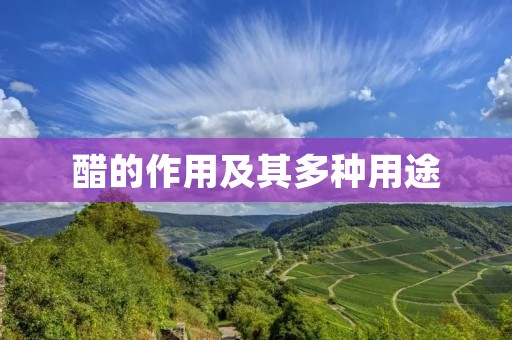 醋的作用及其多种用途 醋的作用及其多种用途