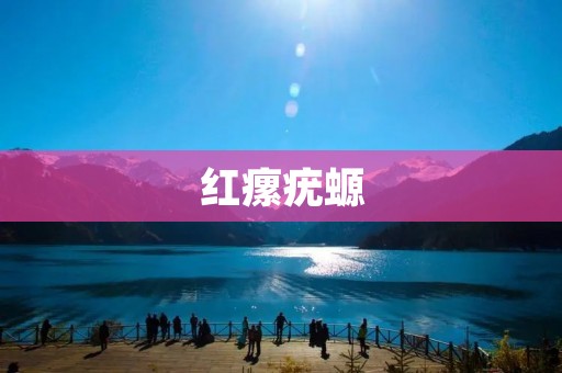 红瘰疣螈：一个与众不同的生物