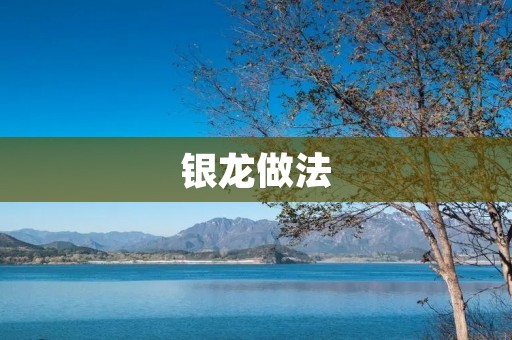 银龙做法：让你轻松掌握做银龙的技巧