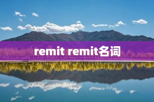 remit remit名词