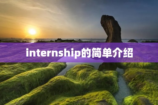 internship的简单介绍 internship的简单介绍