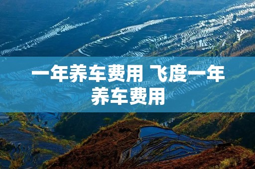 一年养车费用 飞度一年养车费用