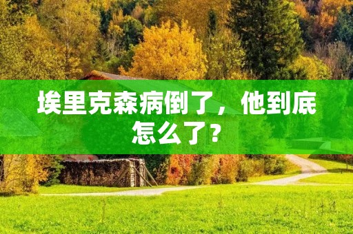 埃里克森病倒了,他到底怎么了? 埃里克森病倒了,他到底怎么了?