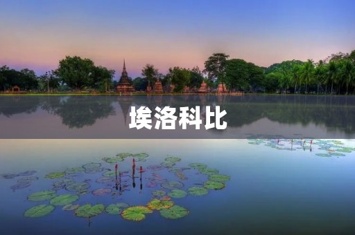 埃洛科比:NBA历史上的传奇球星 埃洛科比:NBA历史上的传奇球星
