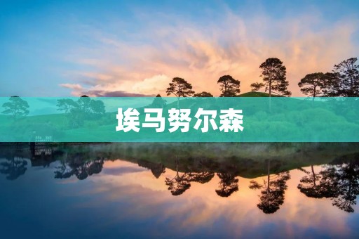 埃马努尔森：土耳其政坛的新星