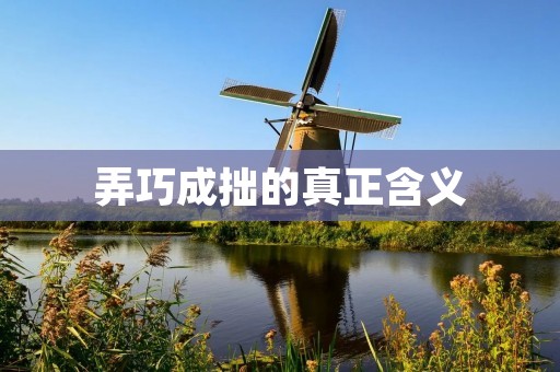 弄巧成拙的真正含义