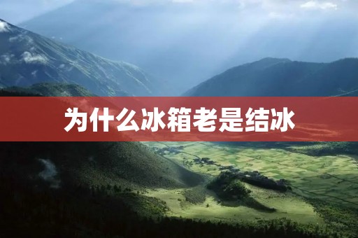 为什么冰箱老是结冰