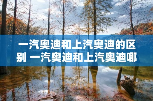 一汽奥迪和上汽奥迪的区别 一汽奥迪和上汽奥迪哪个好
