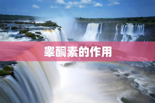 睾酮素的作用:影响男性的生殖、身体和心理健康 睾酮素的作用:影响男性的生殖、身体和心理健康