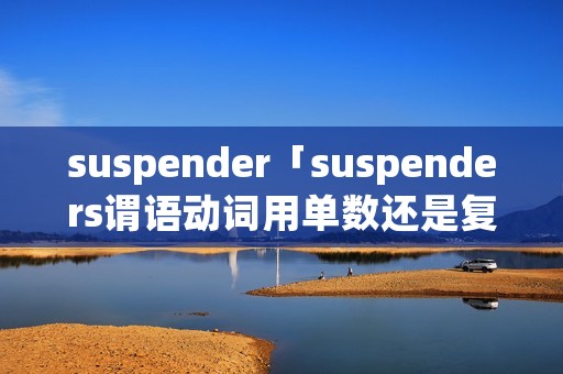 suspender「suspenders谓语动词用单数还是复数」