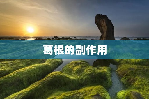 葛根的副作用:了解葛根的安全性和注意事项 葛根的副作用:了解葛根的安全性和注意事项