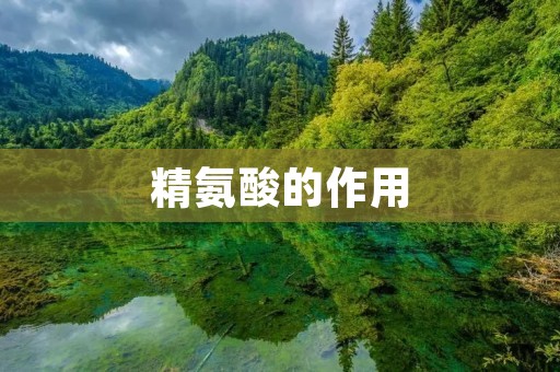 精氨酸的作用:解析其在人体中的重要性 精氨酸的作用:解析其在人体中的重要性