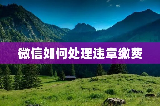 微信如何处理违章缴费