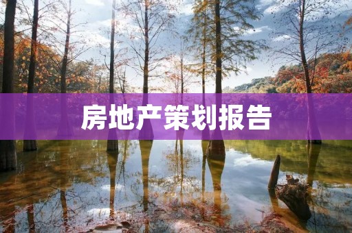 房地产策划报告:如何提高楼盘销售效率