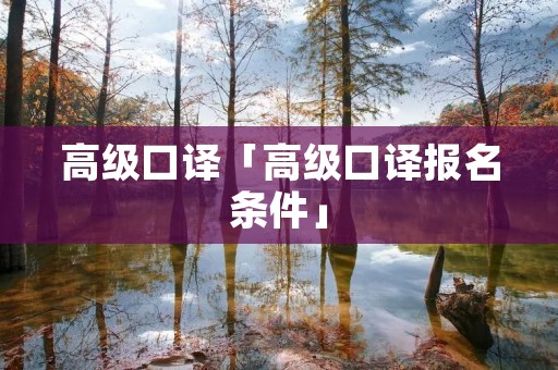 高级口译「高级口译报名条件」