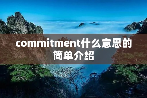 commitment什么意思的简单介绍