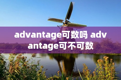 advantage可数吗 advantage可不可数