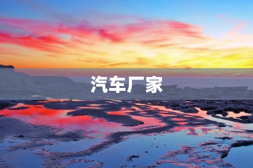 汽车厂家：挑战与机遇