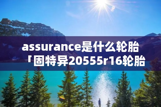 assurance是什么轮胎「固特异20555r16轮胎多少钱」
