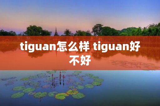 tiguan怎么样 tiguan好不好