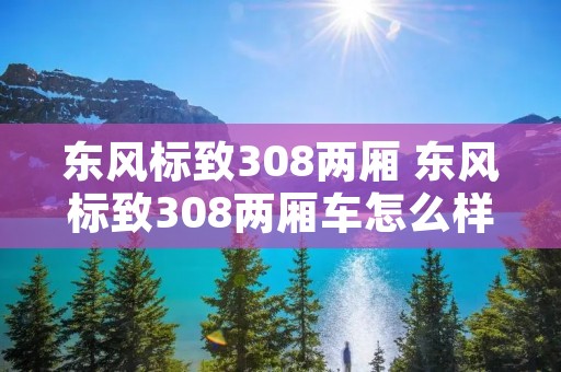 东风标致308两厢 东风标致308两厢车怎么样