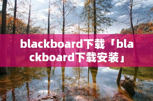 blackboard下载「blackboard下载安装」