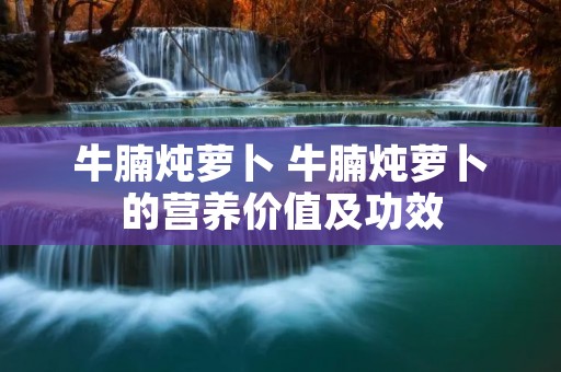 牛腩炖萝卜 牛腩炖萝卜的营养价值及功效